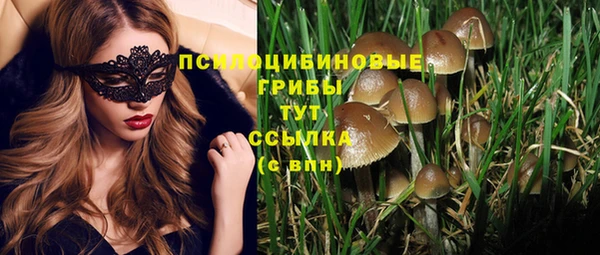 spice Михайловка