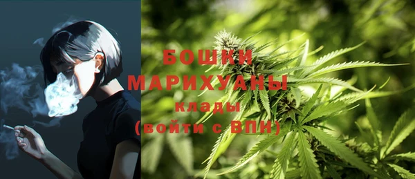 spice Михайловка
