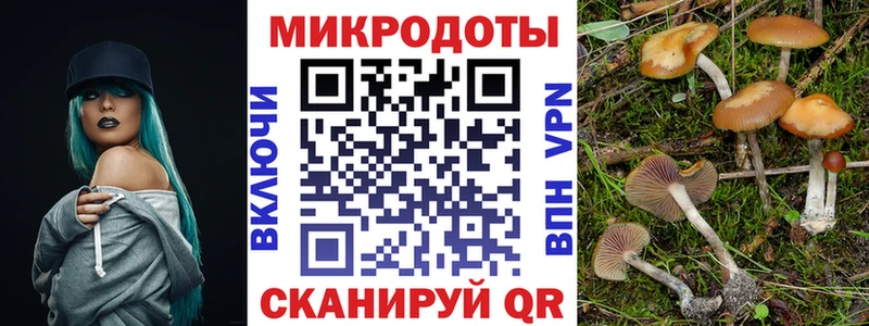 Псилоцибиновые грибы Magic Shrooms  Купить  Дмитриев 