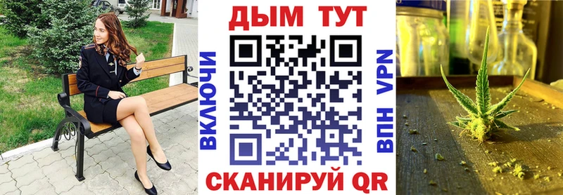 Купить  Дмитриев  Канабис индика 